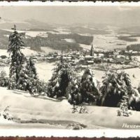 484071_369324543140427_829948790_n