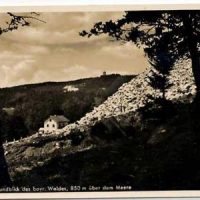 600063_369324069807141_975753153_n