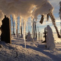 Schneeschuhwandern & Naturschutz